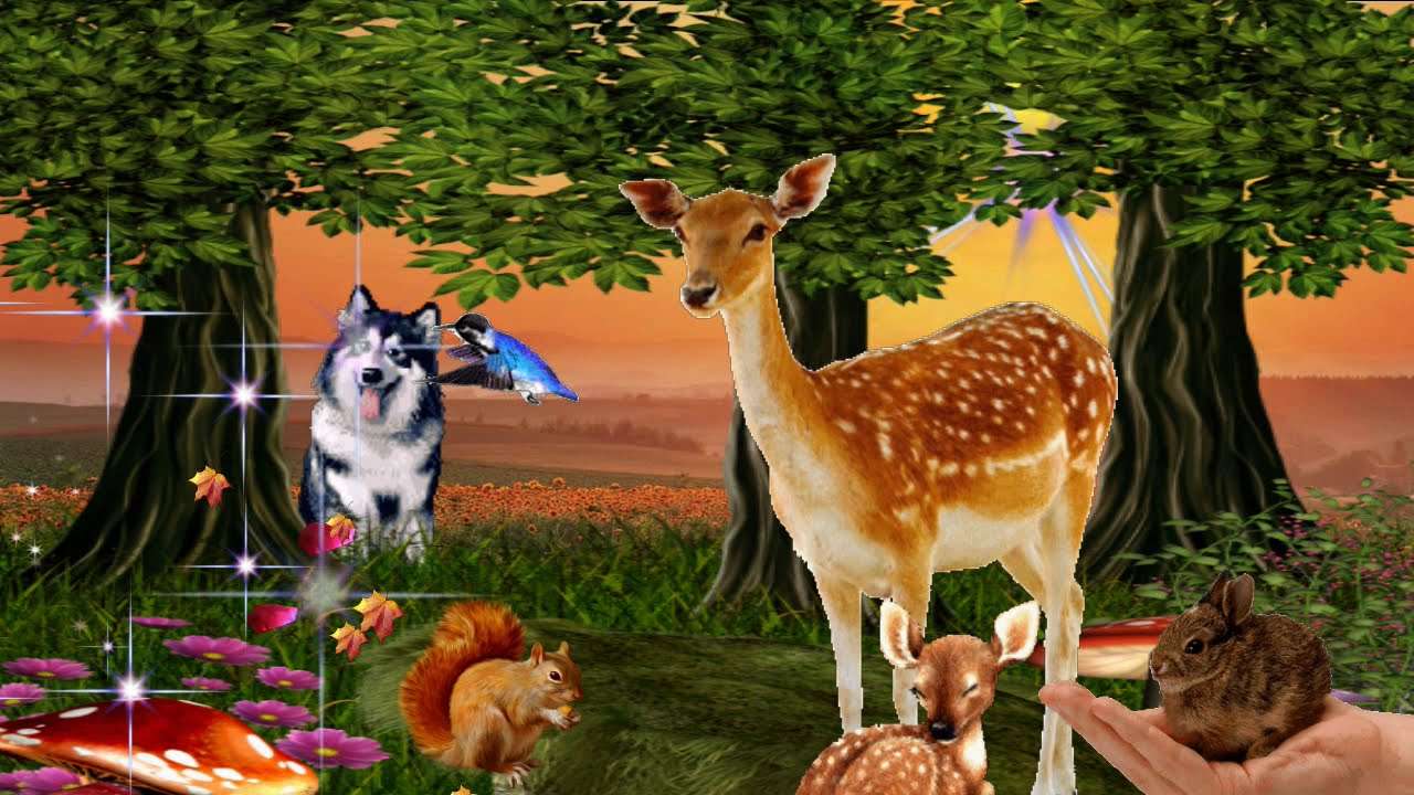 Animale din padure puzzle en ligne