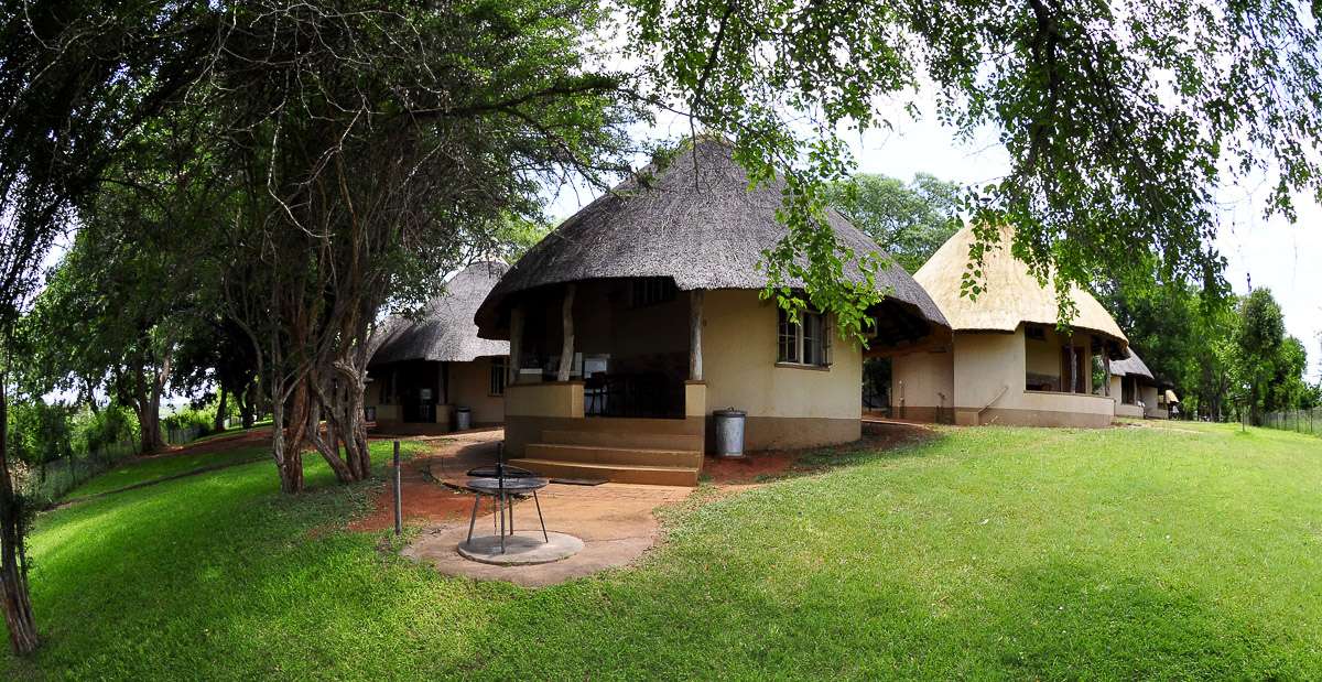 Национальный парк Амбосели, Кения онлайн-пазл