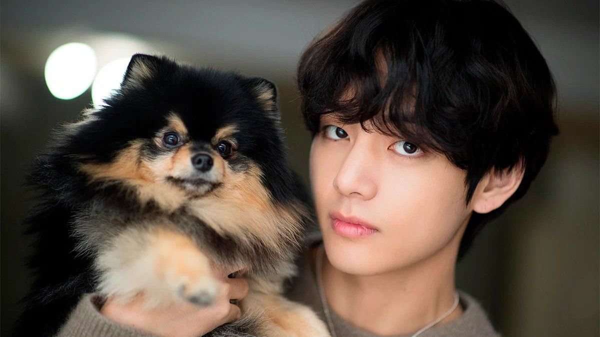Taehyung și Yeontan puzzle online