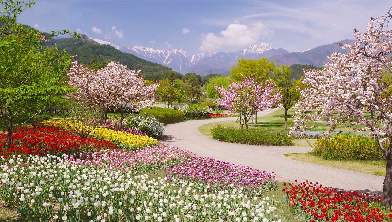 Парк Алпи Азумино през пролетта онлайн пъзел