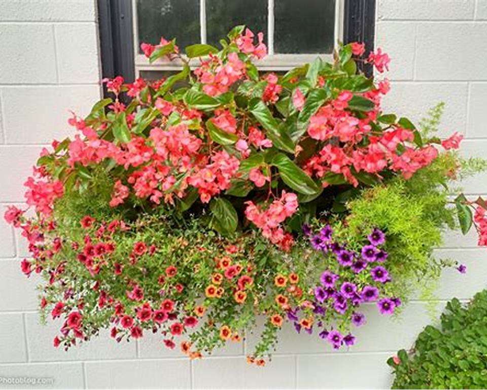Bloemen in een pot voor het raam online puzzel