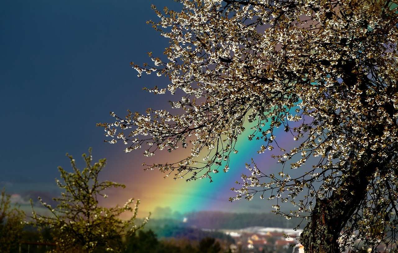 naturaleza paisaje arco iris rompecabezas en línea