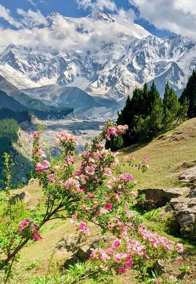 montanhas e flores puzzle online