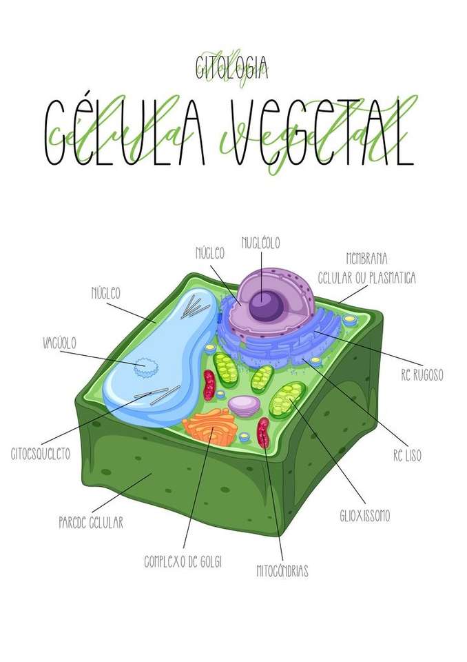 Растителна клетка онлайн пъзел