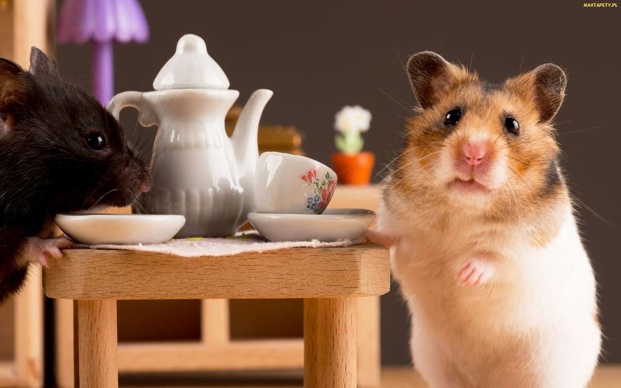 hamster 20 jigsaw puzzle online