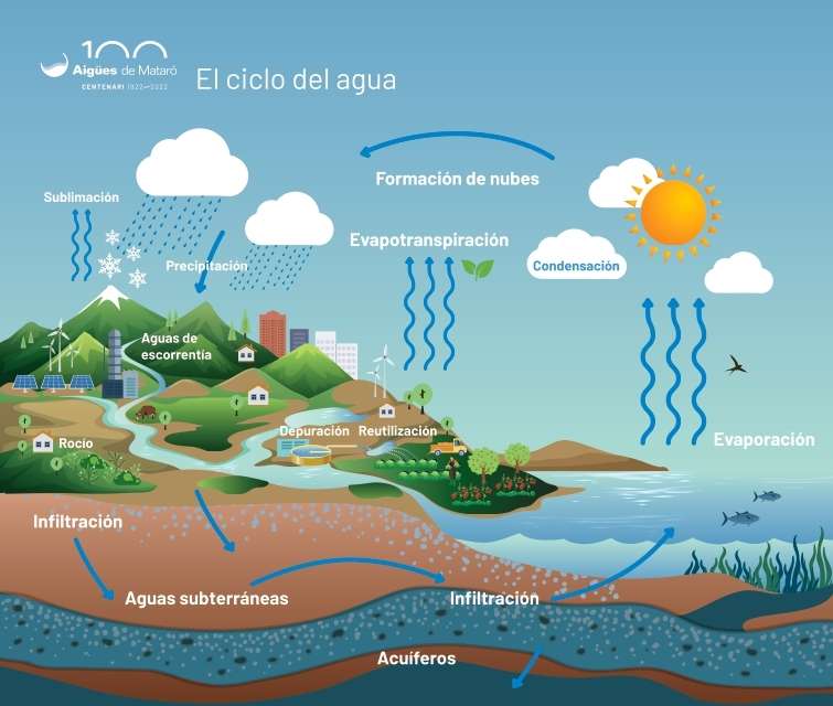 cycle hydrologique puzzle en ligne