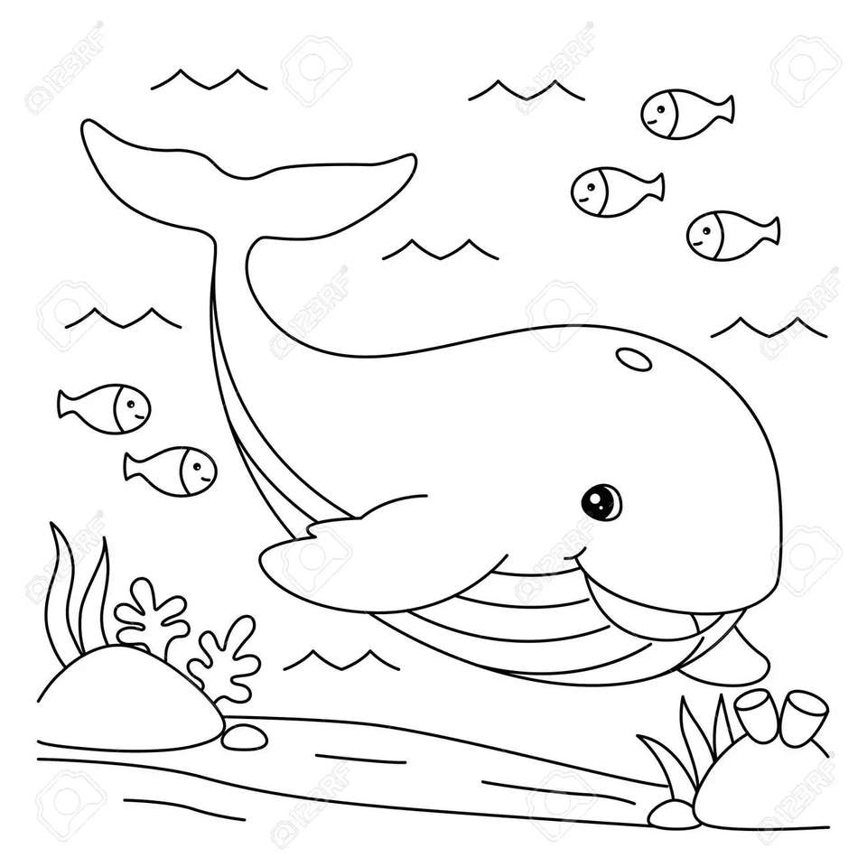 кит онлайн пазл