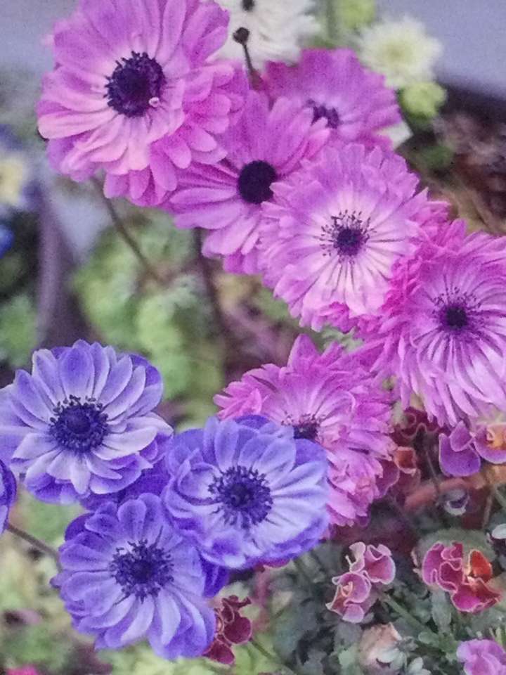 Flores violetas e rosa puzzle online