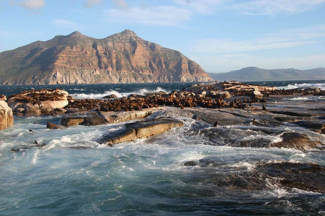 Isola del subacqueo Sud Africa puzzle online
