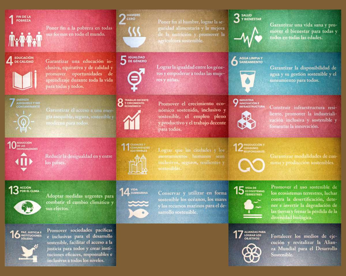 Duurzame ontwikkelingsdoelen legpuzzel online