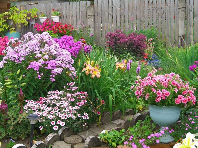 Цветя в градината онлайн пъзел
