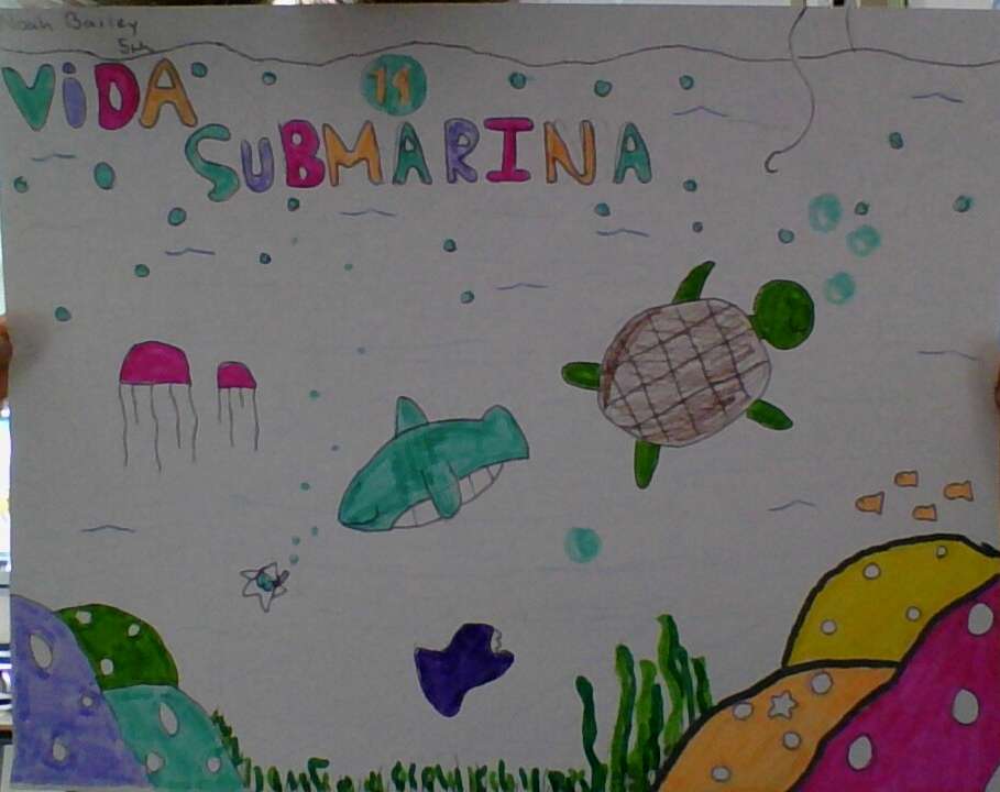 Головоломка Vida Submarina (SDG) пазл онлайн