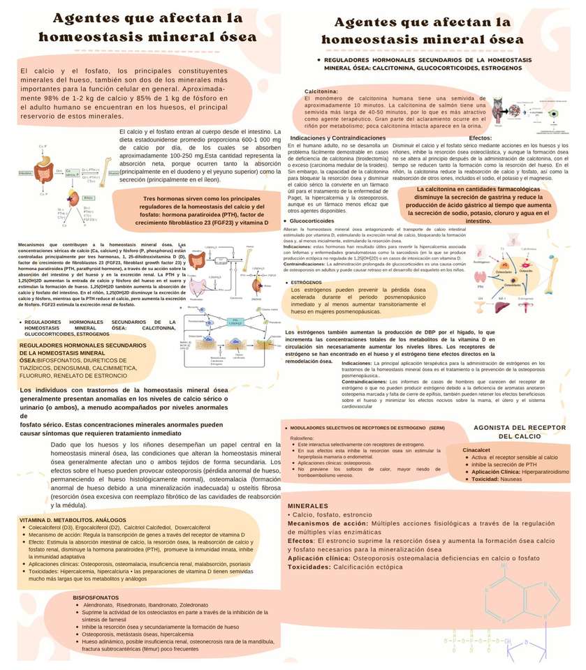 Pharmacologie puzzle en ligne