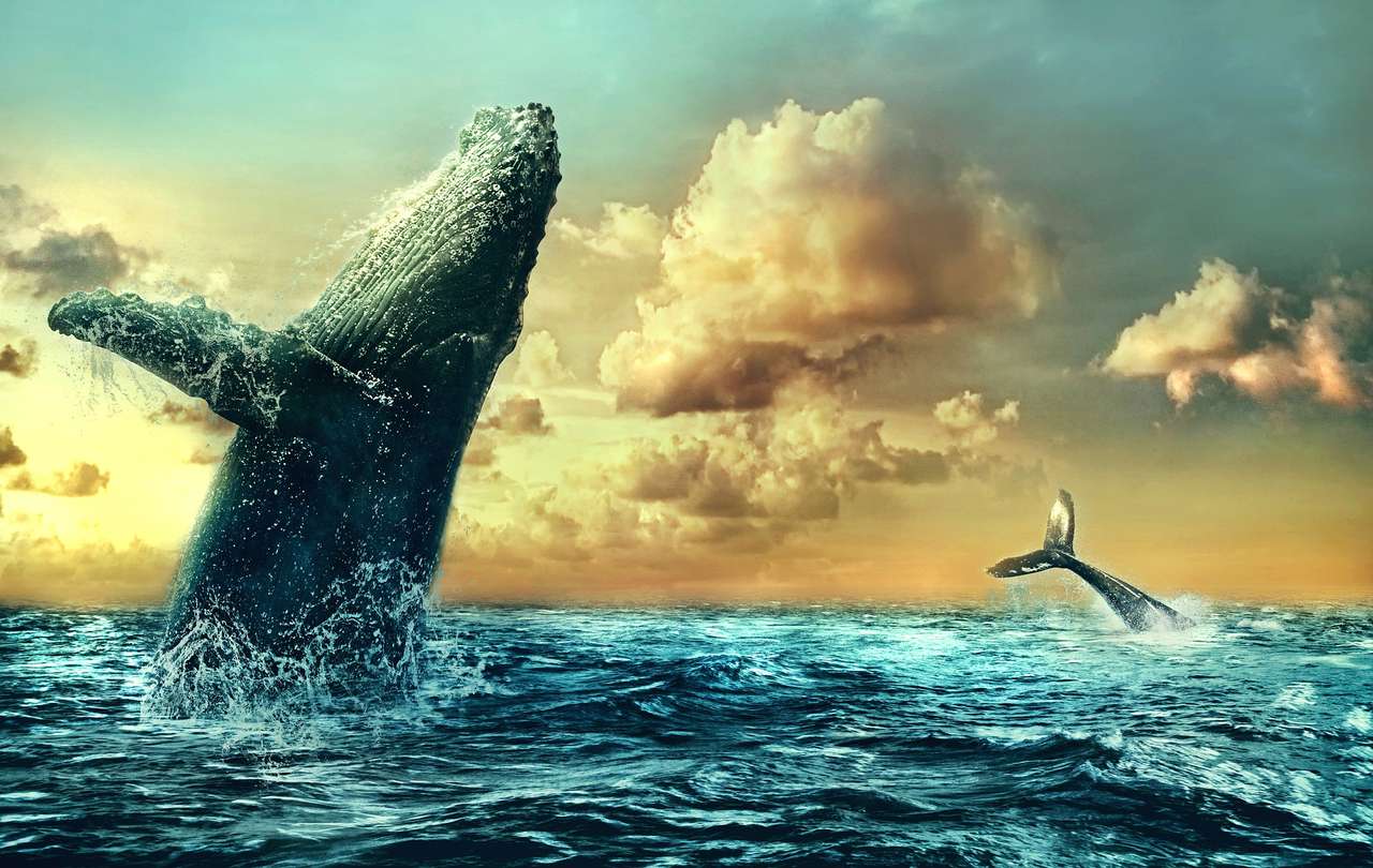 oceano e baleias puzzle online