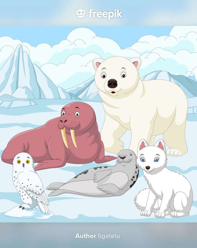Животните на Арктика онлайн пъзел