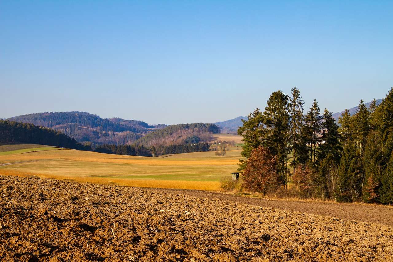 Krajina, stromy, příroda. skládačky online