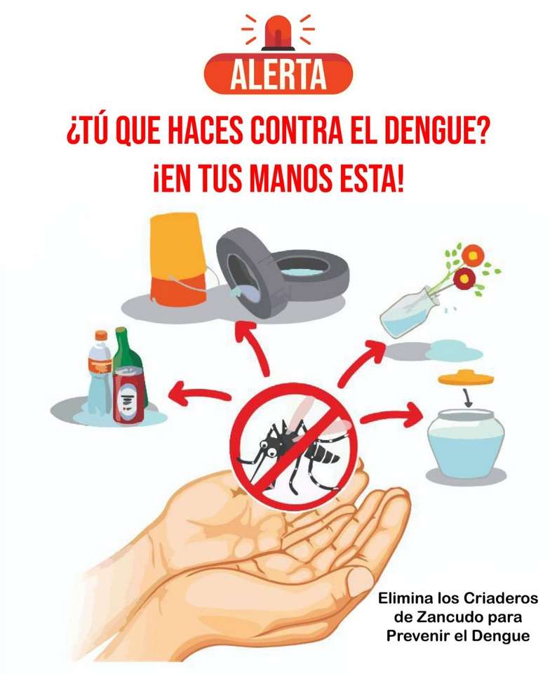dengue-láz megelőzése online puzzle