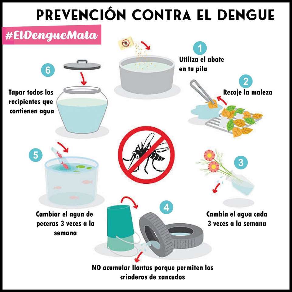 dengue-láz megelőzése kirakós online