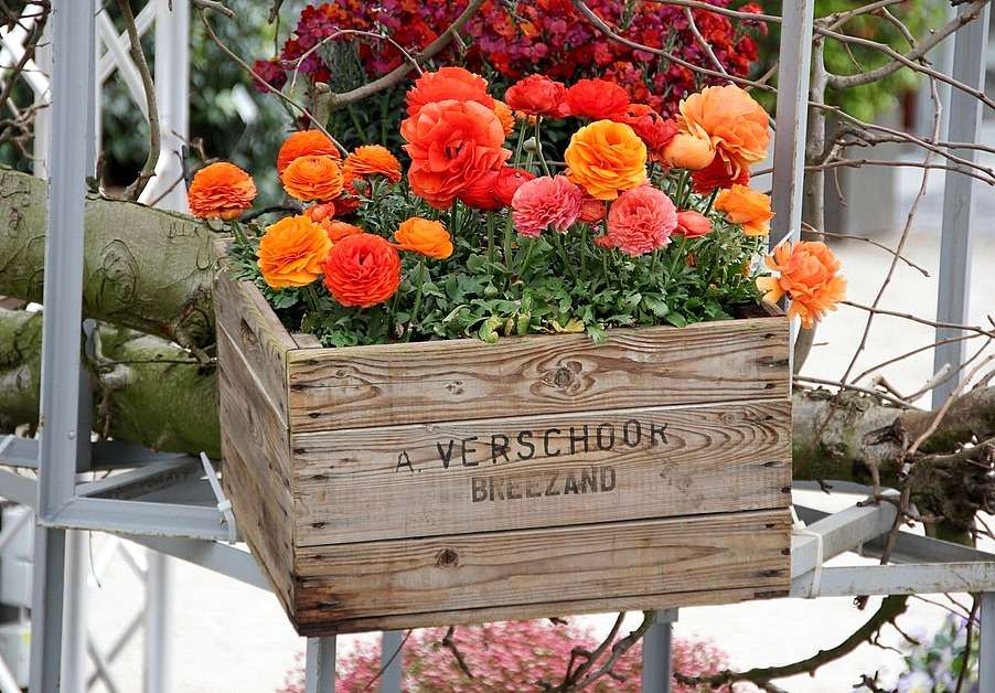 Uma linda caixa de flores no mercado de jardim puzzle online