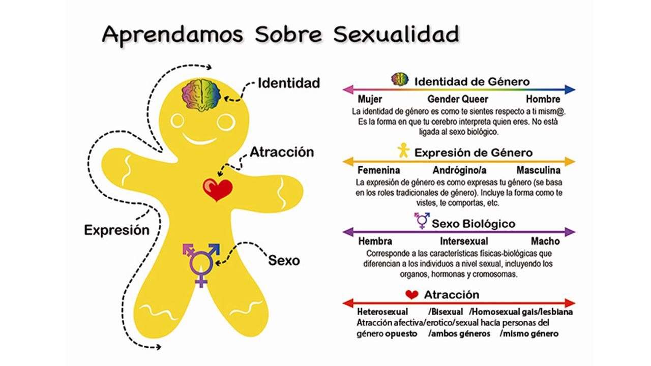 Sexualidad rompecabezas en línea