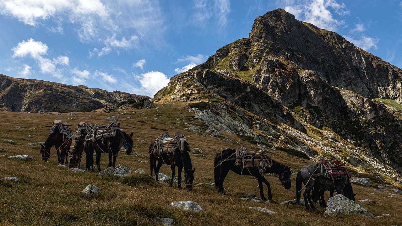 Paarden, Weide, Bergen legpuzzel online
