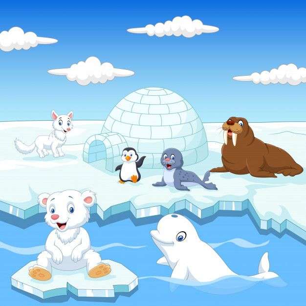 Animale din nord jigsaw puzzle online