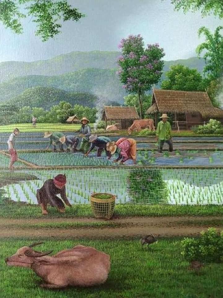 Reis pflanzen Online-Puzzle