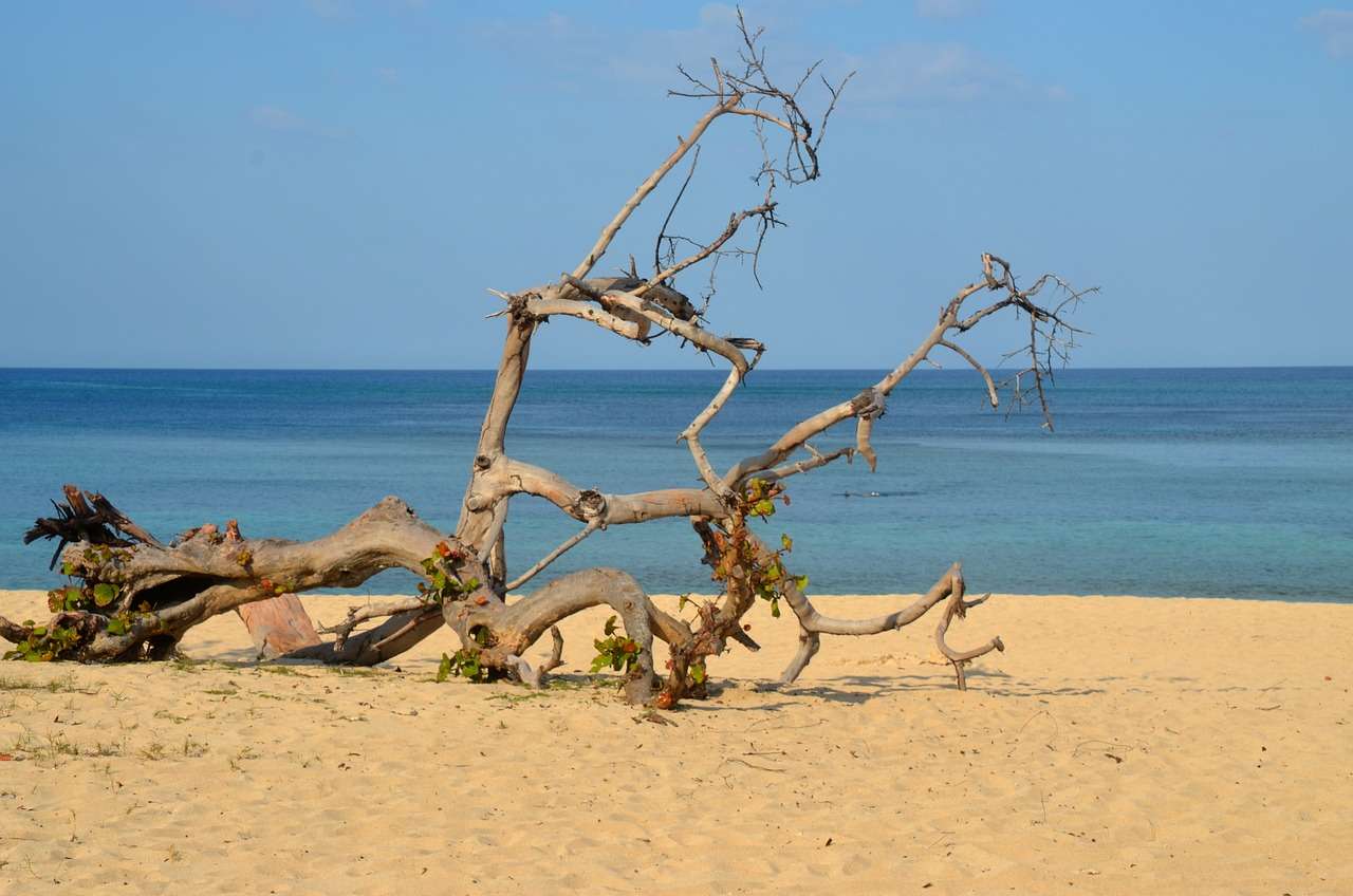 Пляж, Море, Карибы онлайн-пазл