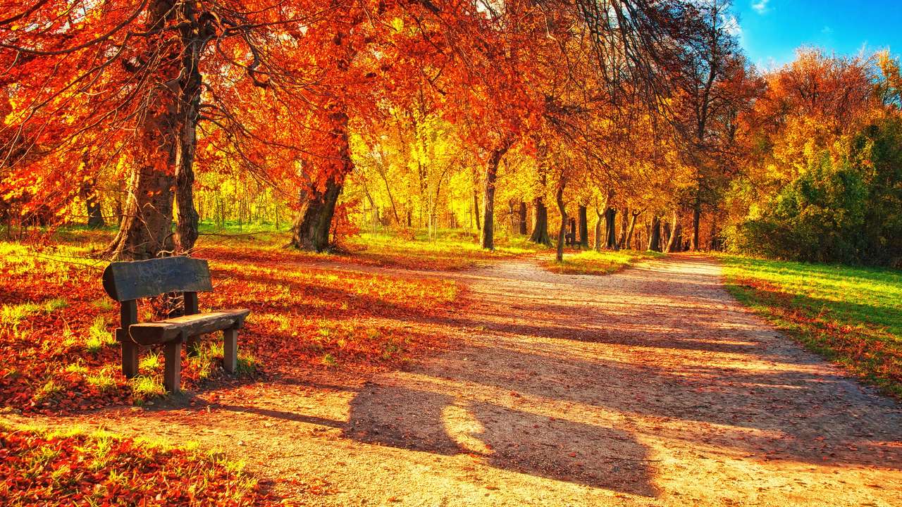 есен със залез онлайн пъзел