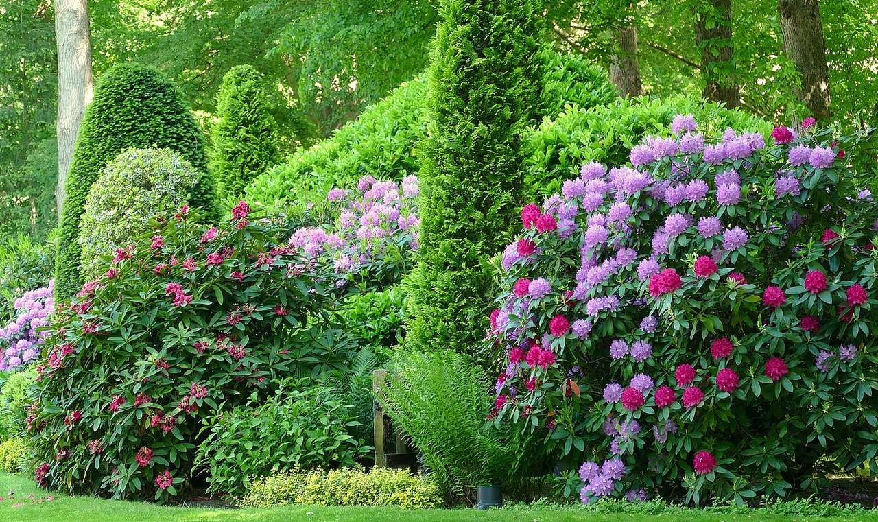Rhododendron tid Pussel online