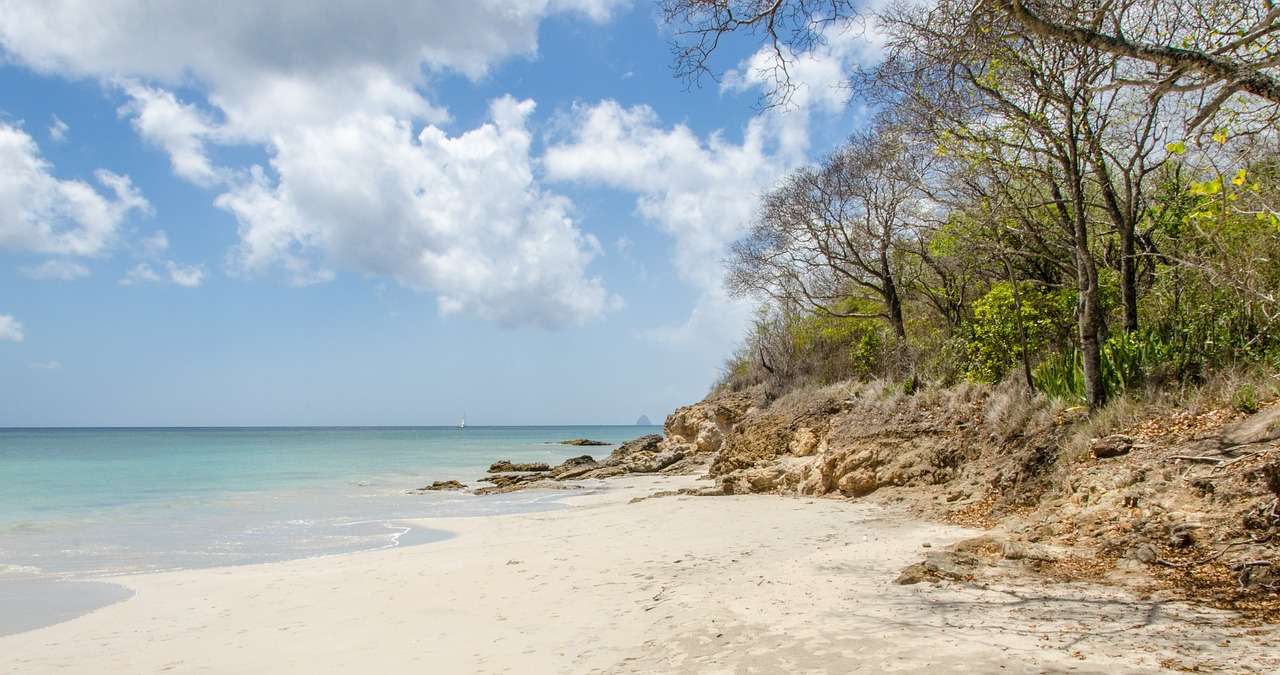 Мартиника, океан онлайн-пазл