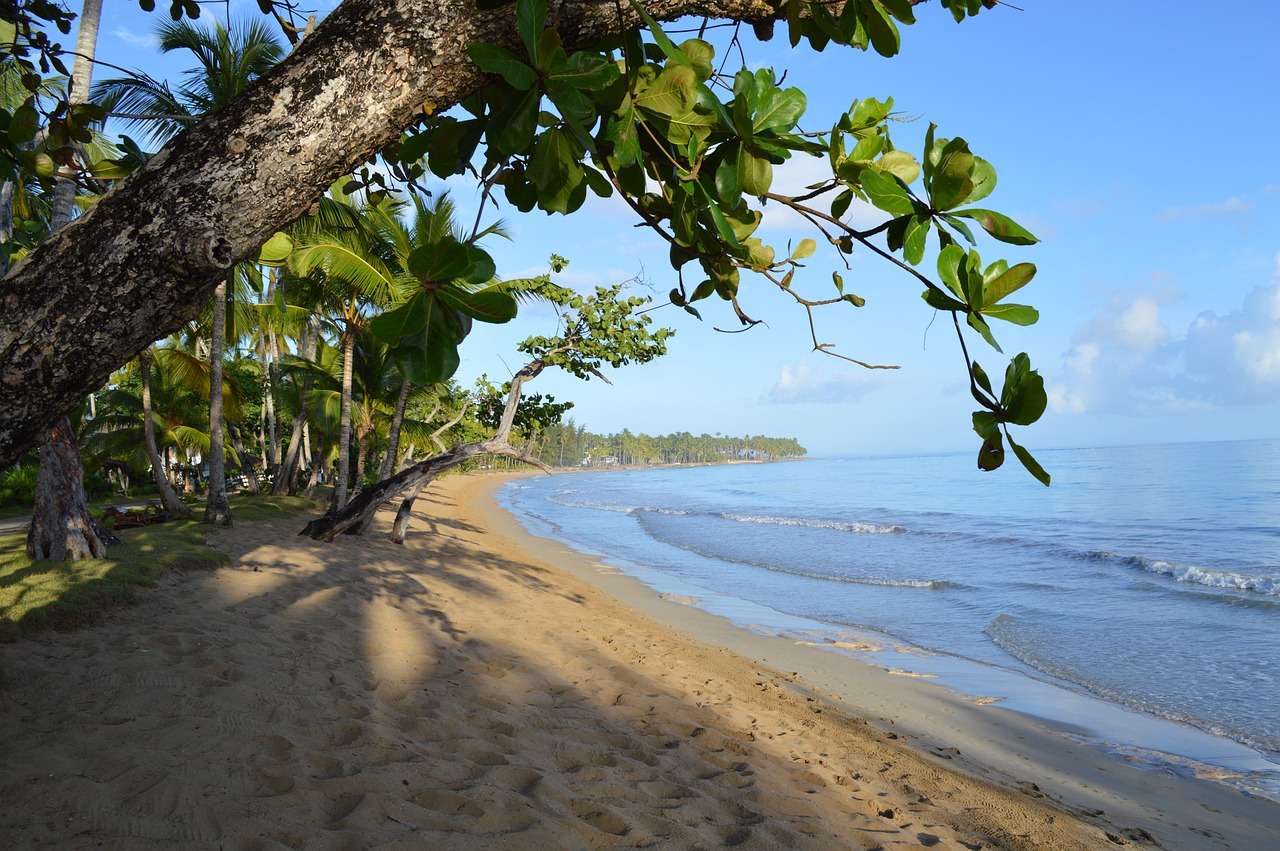 Карибите, плаж онлайн пъзел