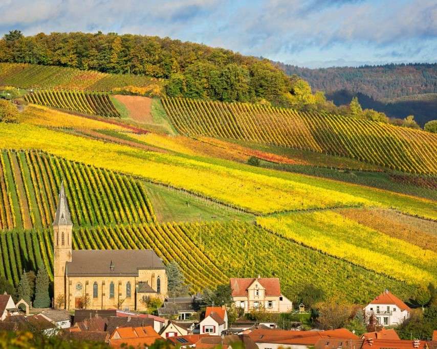 Vinfält i Alsace Pussel online