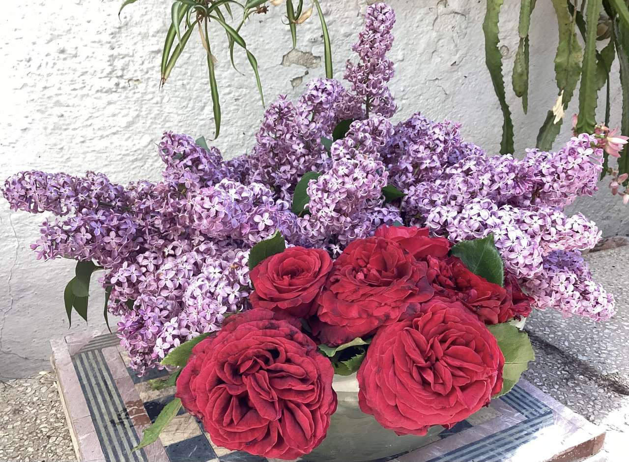 Rosas y lilas kirakós online