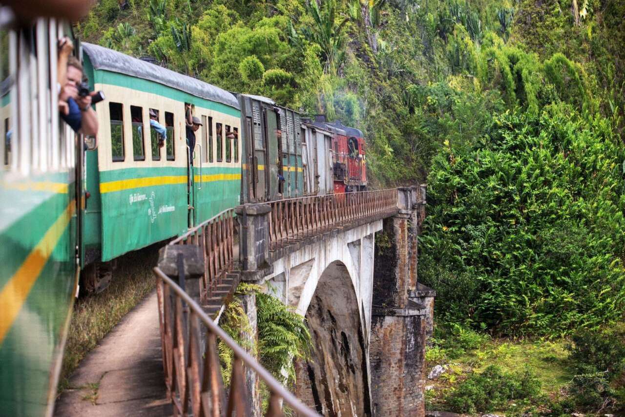 Поезд в джунглях - Мадагаскар пазл онлайн