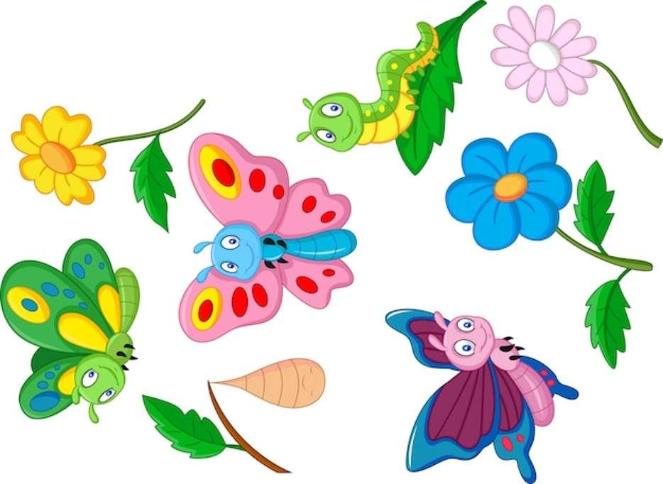 THE LIFE CYCLE OF BUTTERFLIES online puzzle