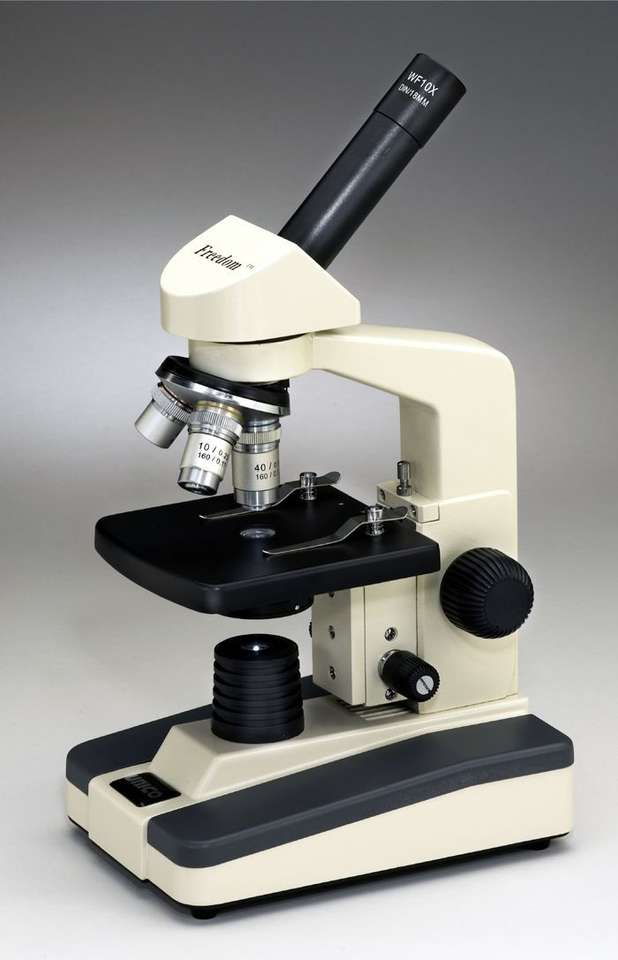 мікроскоп онлайн пазл