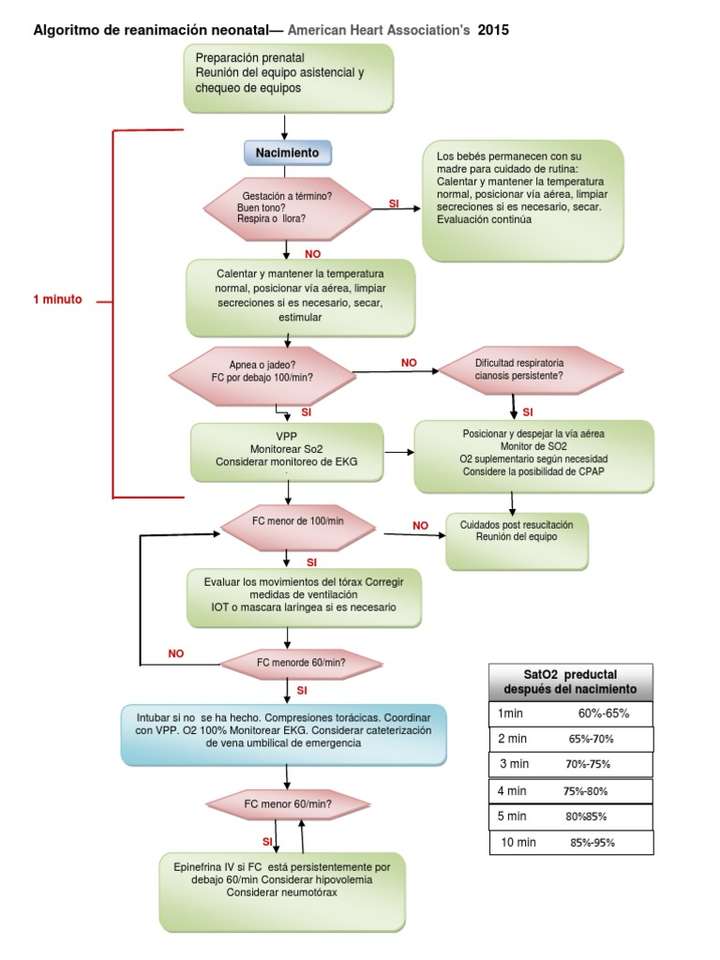 Algoritme voor neonatale reanimatie online puzzel