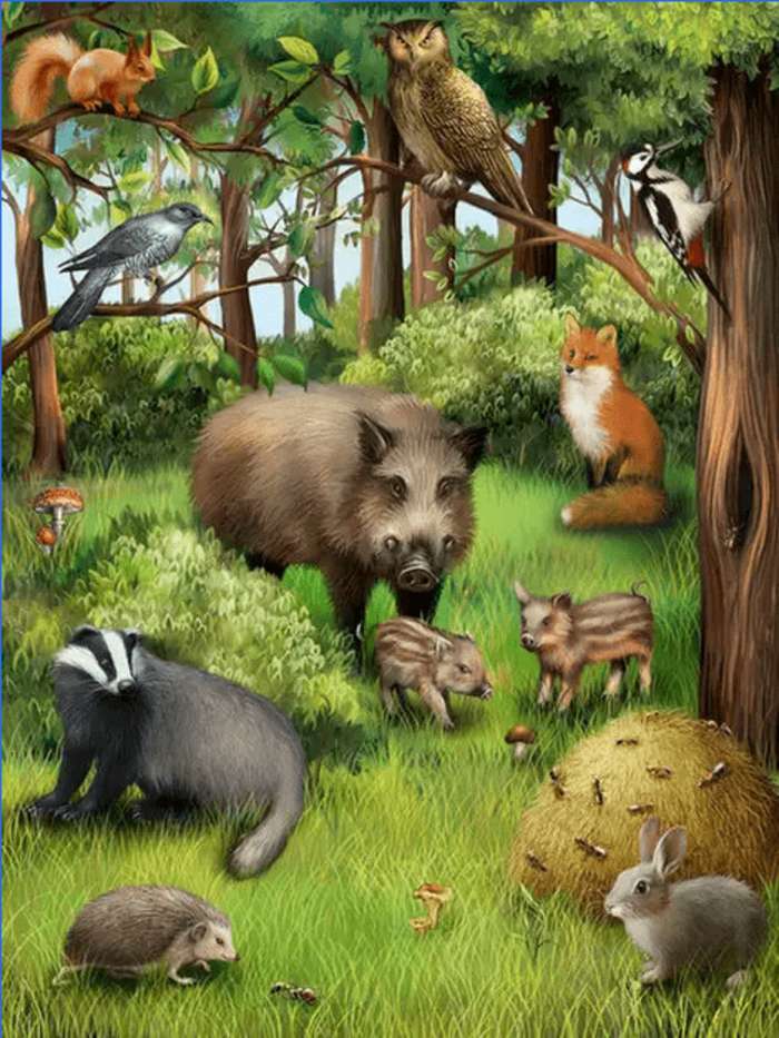 Puzzle - animale din pădure puzzle online