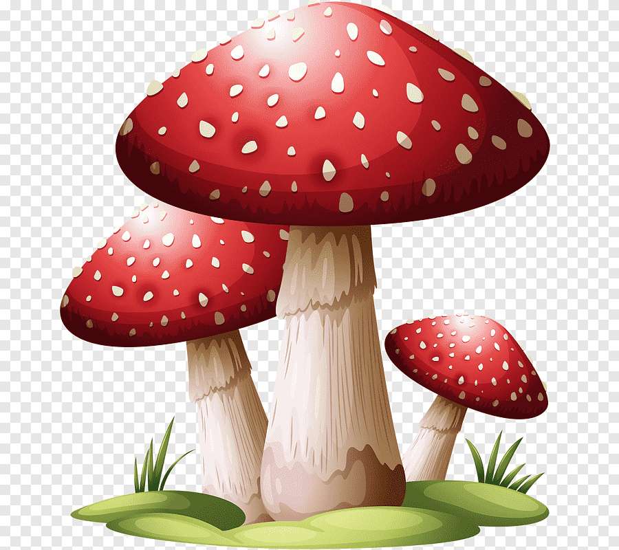 royaume des champignons puzzle en ligne