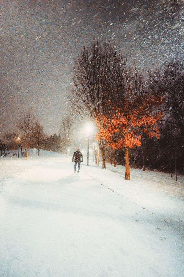Прогулянка по снігу онлайн пазл