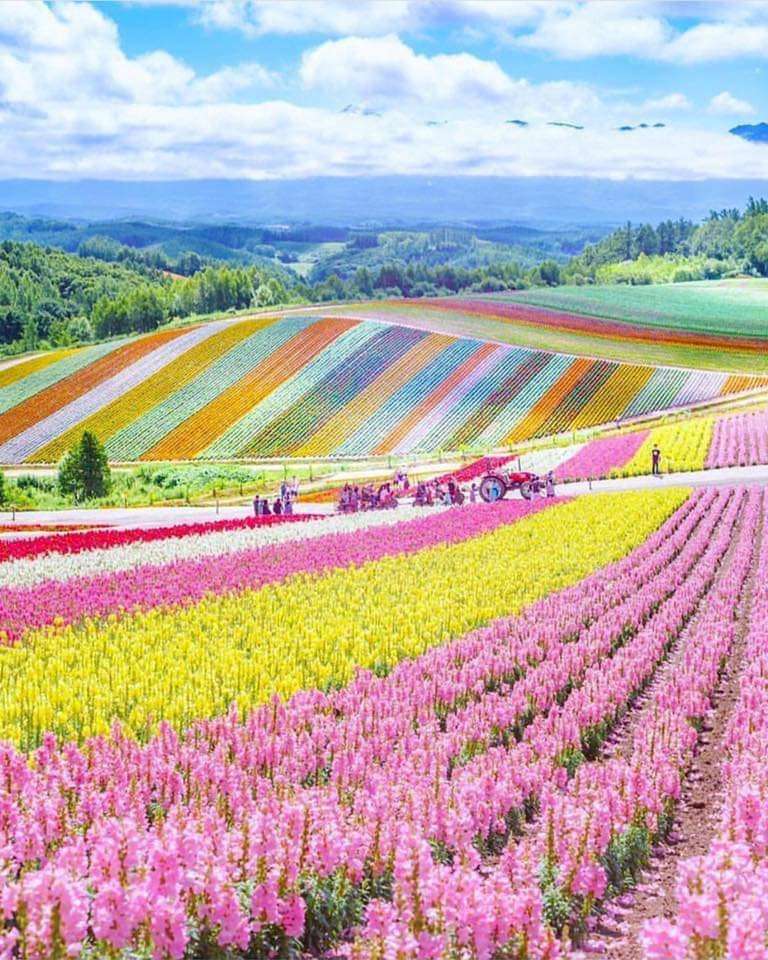 Hokkaido - Japan Pussel online