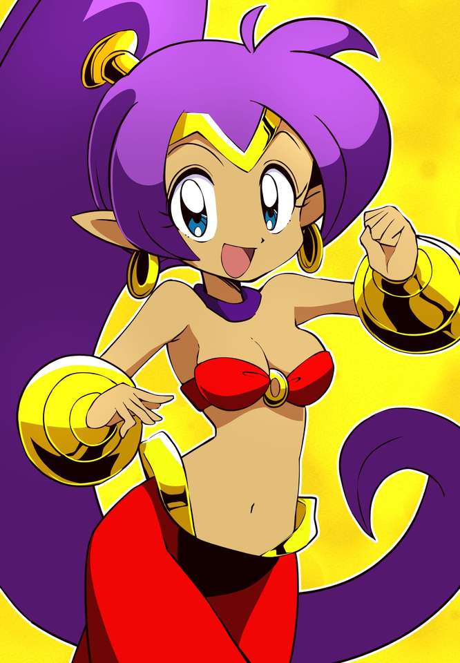 Shantae the Genie online puzzle