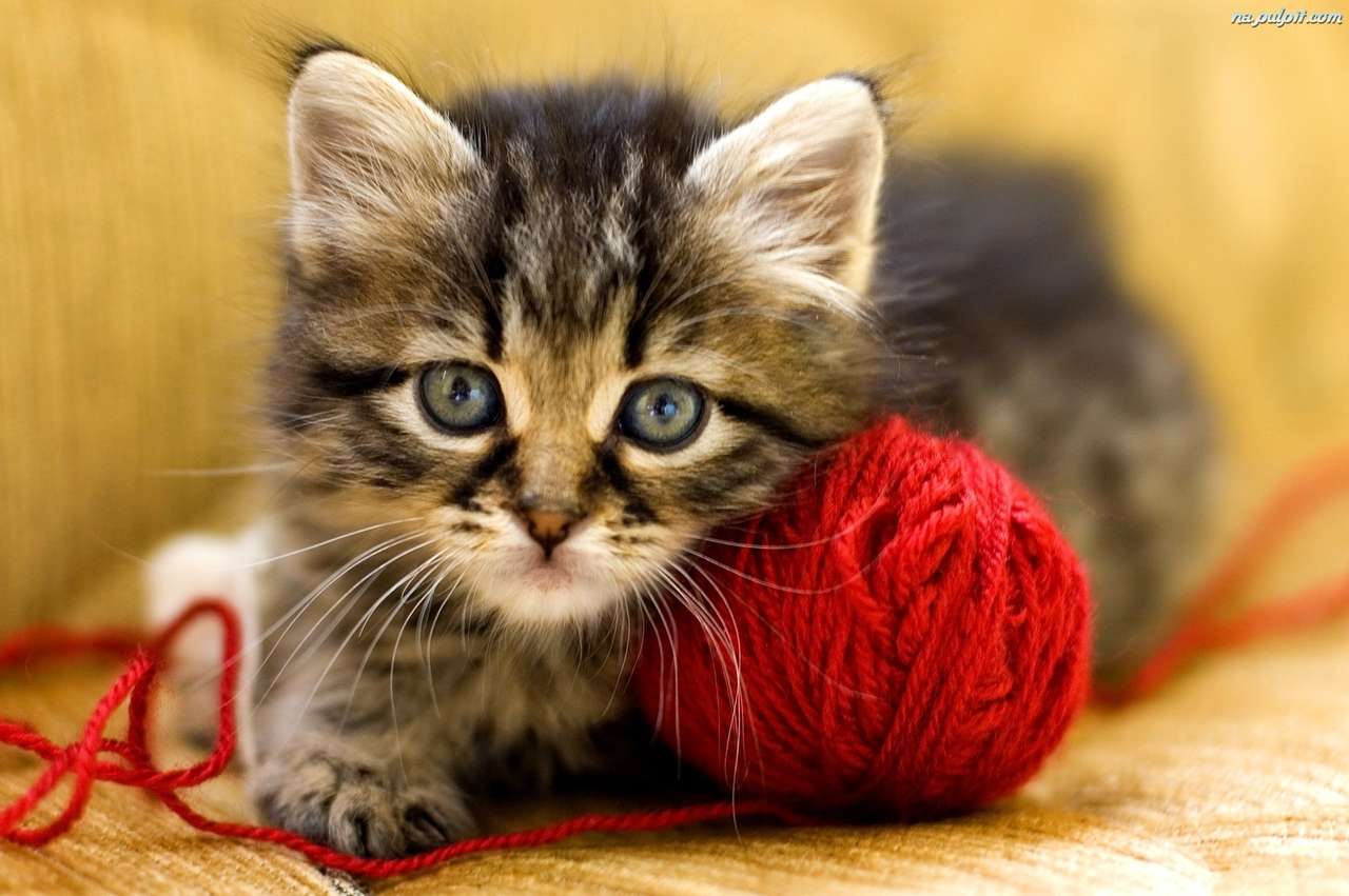 毛糸を持った子猫 オンラインパズル
