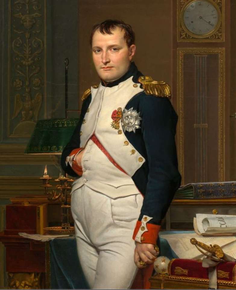 Napóleon Bonaparte online puzzle