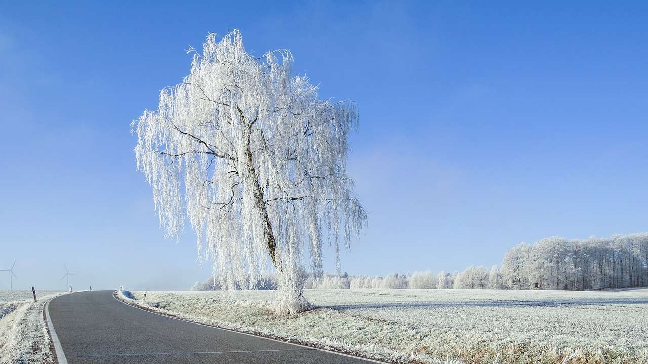 Winterlandschaft, Landstraße Puzzlespiel online