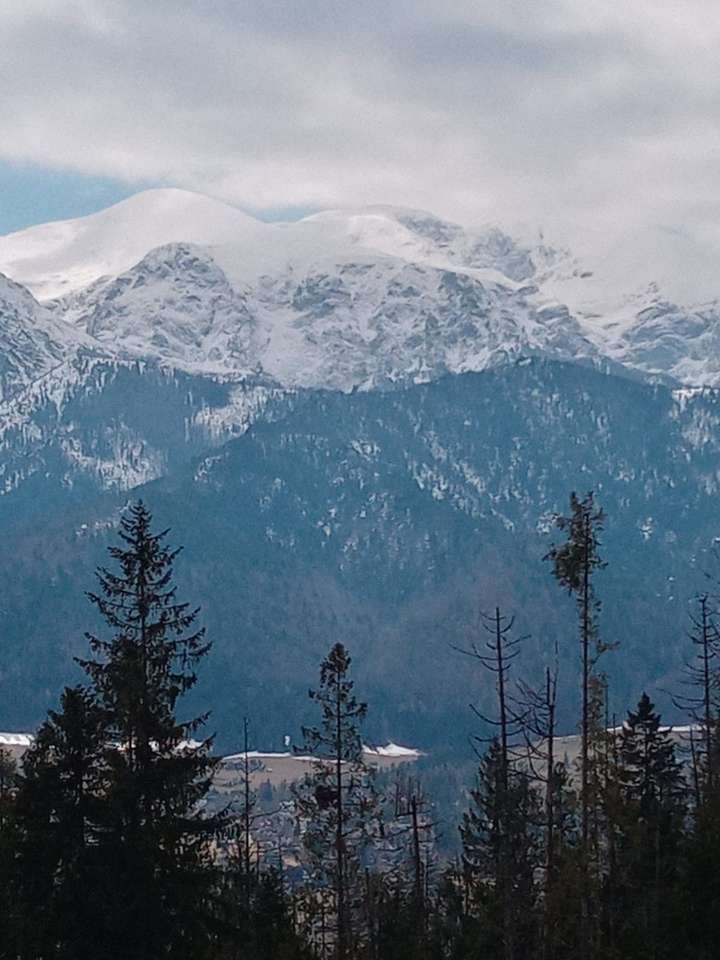 berg i Slovenien pussel på nätet