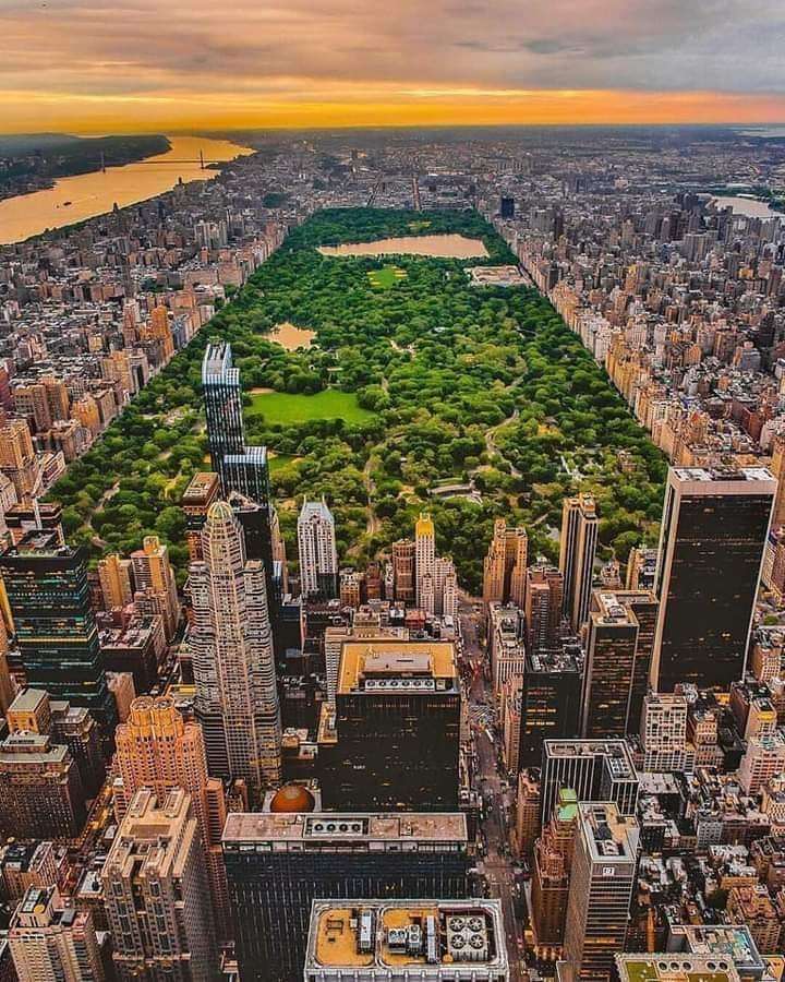 Central Park - New York - USA - online puzzle