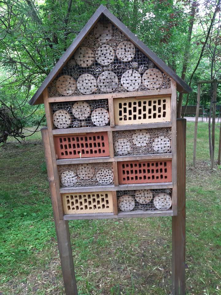 昆虫館 オンラインパズル