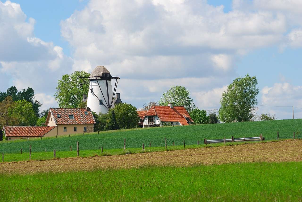 Windmühle, Häuser, Bauernhof Puzzlespiel online